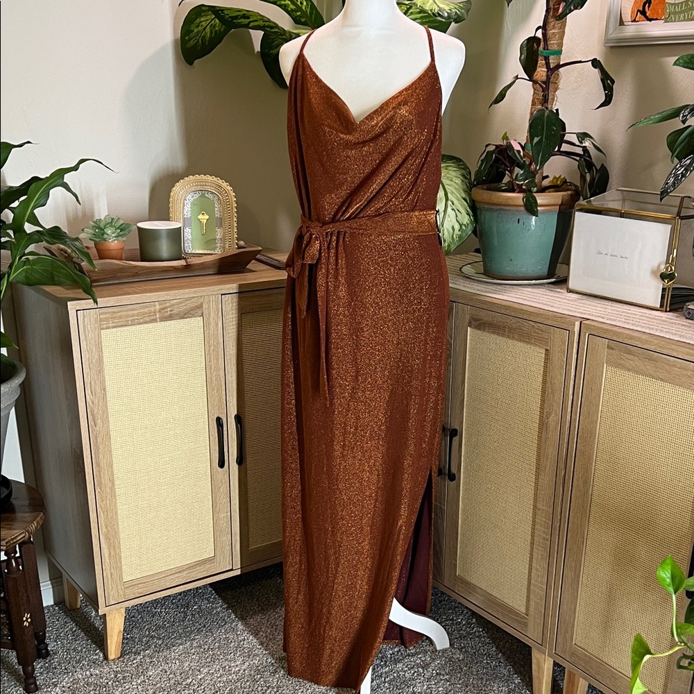 Express Copper Maxi Dress